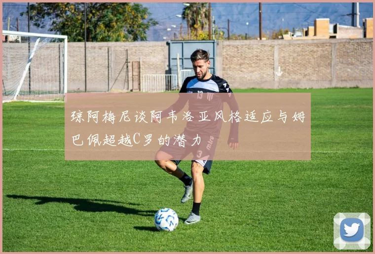 琼阿梅尼谈阿韦洛亚风格适应与姆巴佩超越C罗的潜力